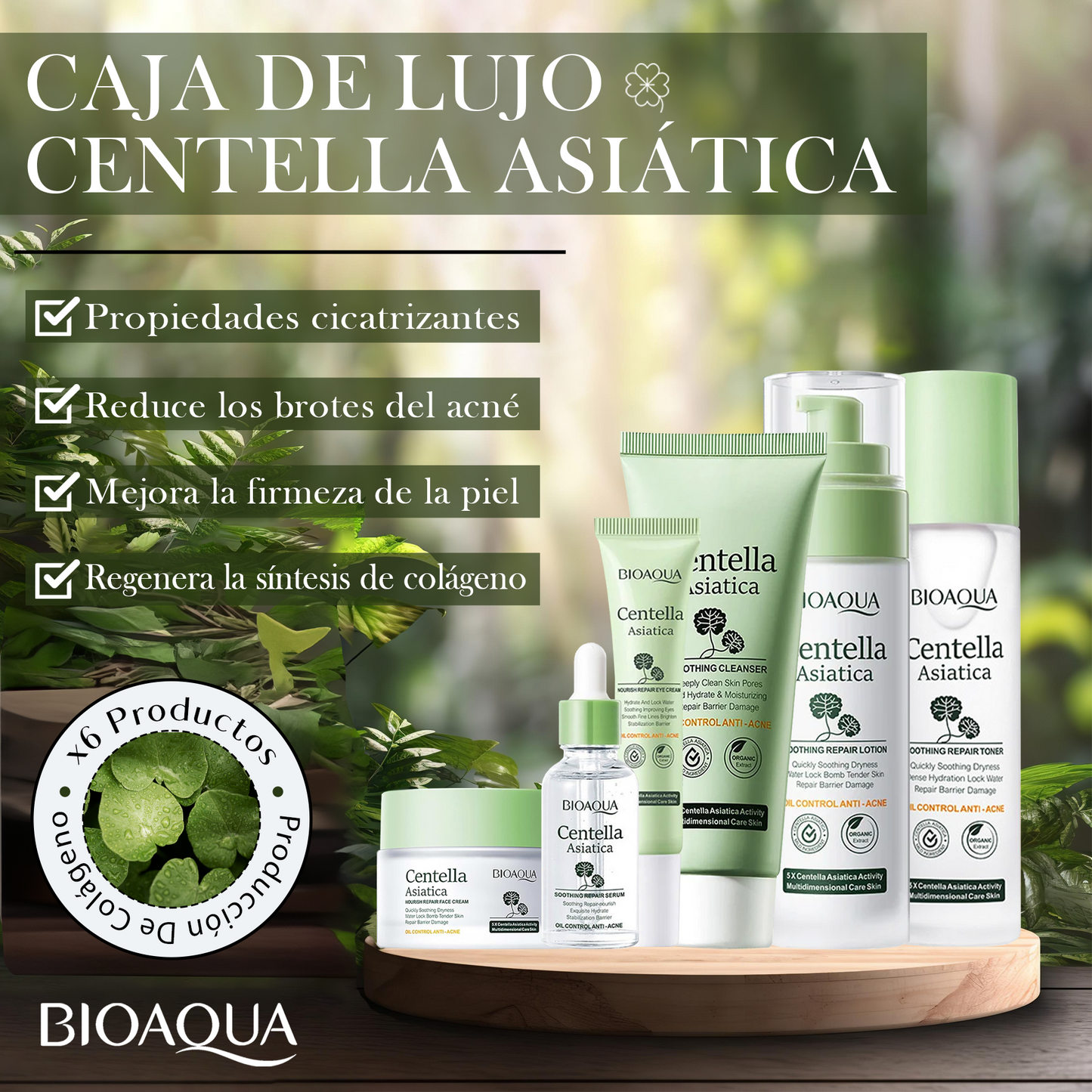 CAJA DE LUJO CENTELLA ASIATICA 330g