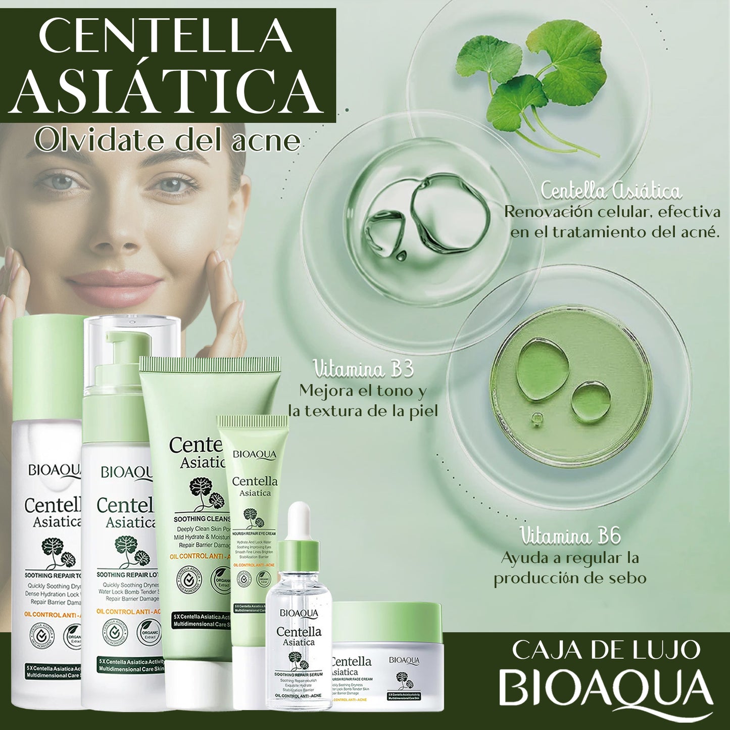CAJA DE LUJO CENTELLA ASIATICA 330g