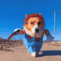 Disfraz Mascotas Chucky