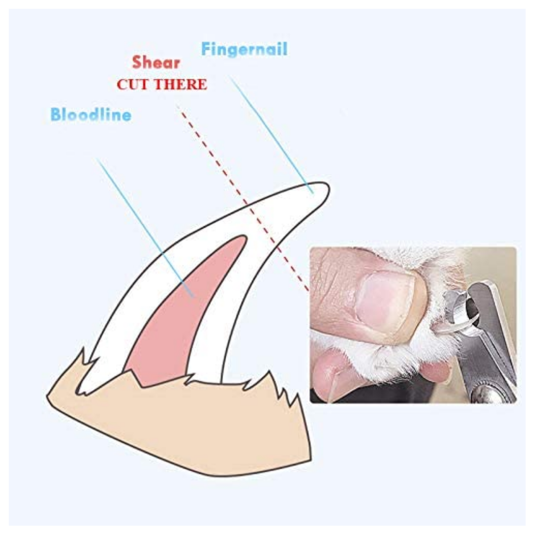 Corta Uñas Razas Grandes