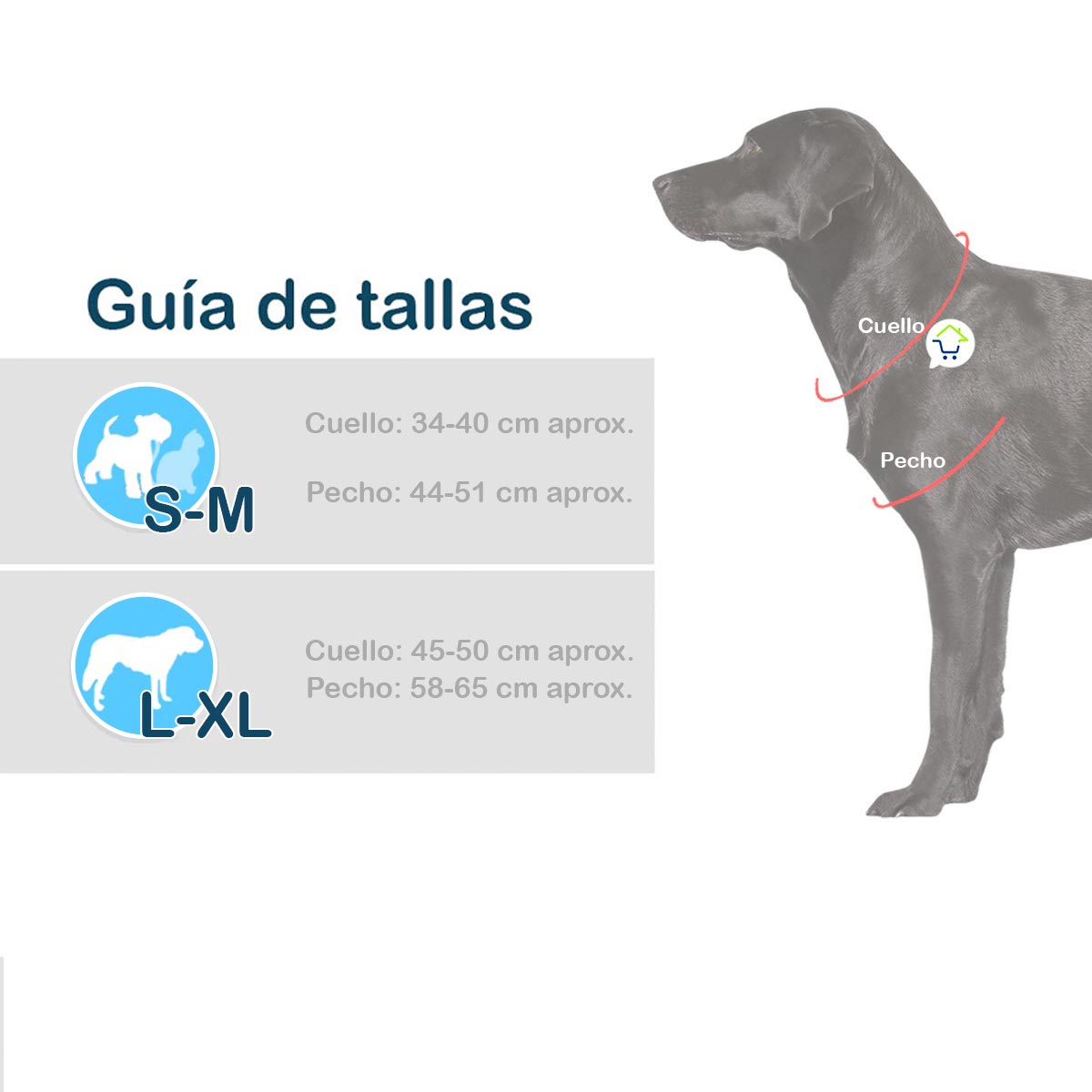 Disfraz Mascotas Chucky