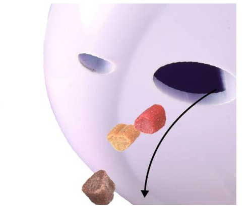 Juguete Gato Electrónico 3 en 1