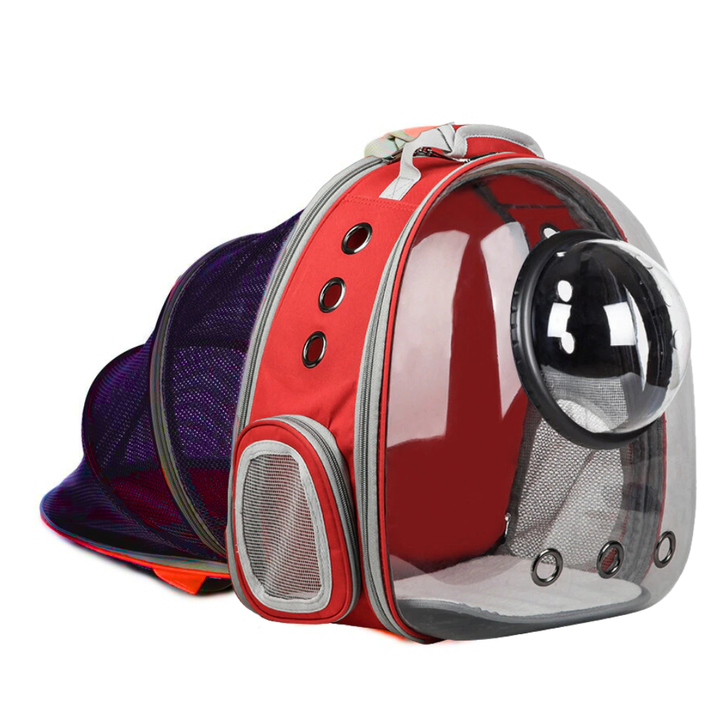 Morral Transparente Lona Con Extencion